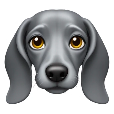 Solid Grey dachshund  sticker