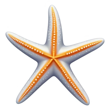 white starfish sticker
