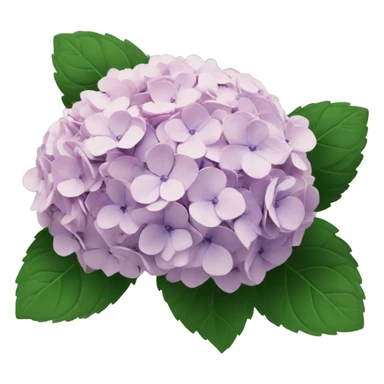Hydrangea bouquet  sticker