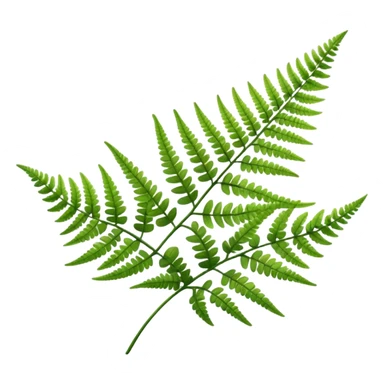 Fern sticker
