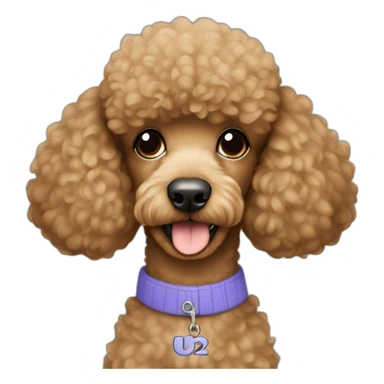 Light brown poodle wearing a t-shrit with the text U2 sticker