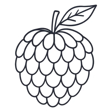 Create a cleaner, simpler hand-drawn black outline illustration of a sugar apple fruit with minimal lines and no fill. The background should be transparent, emphasizing the minimalistic style with clear, crisp black outlines only. sticker