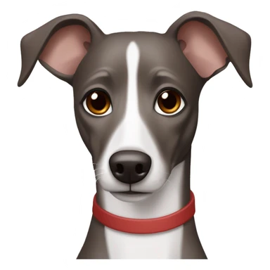 Dark Grey brown Formosa mountain dog and Italian greyhound mix no white in face, dark brown eyes, ears up sticker
