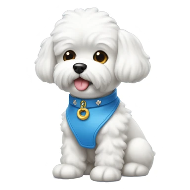 Perro bichon maltes con collar azul, con plaquita en forma de hueso sticker