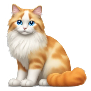 orange bicolor ragdoll cat with blue eyes and orange fluffy tail full body sticker