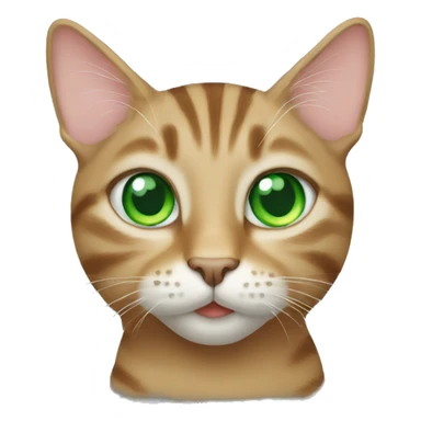 Tabby cat with green eyes sticker