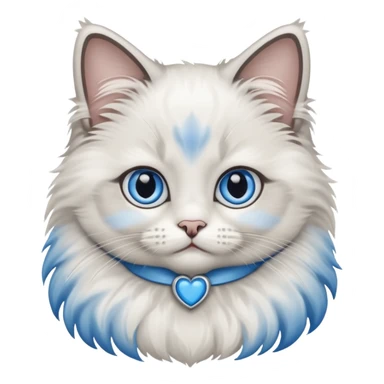 Baby ragdoll cat sticker
