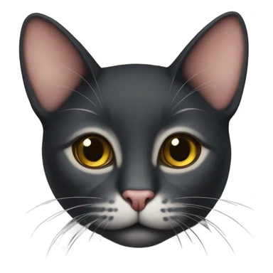 Gato negro gordo sticker