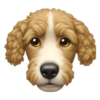 Un caniche qui mange un concombre sticker