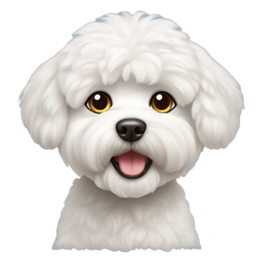 Perro bichon maltes sticker