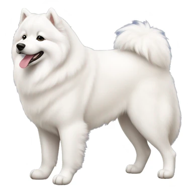 Samoyed full body sticker