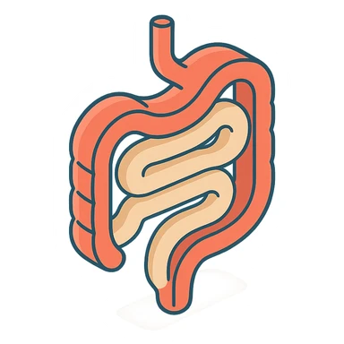 schematic intestine with bends, 2D isometric style, minimalist background, soft shadows and highlights, transparent background sticker