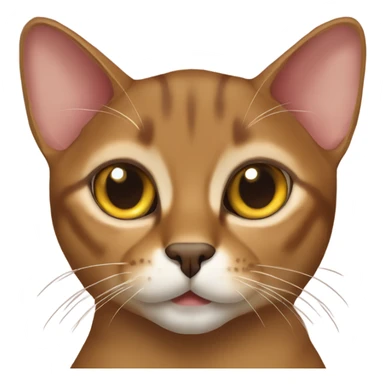 Abyssinian cat sticker