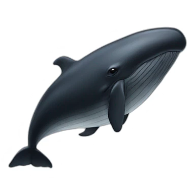 black-whale-in-white-hat sticker