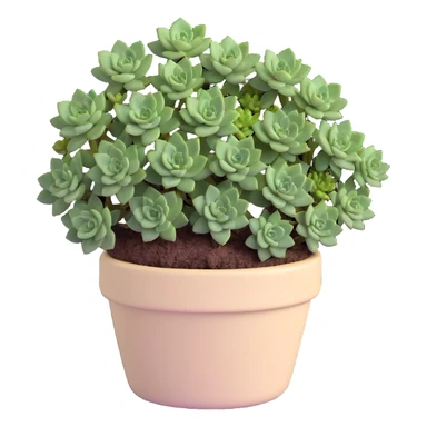 Sedum Pachyphyllum succulent with chubby blue-green leaves in a beige ceramic pot sticker