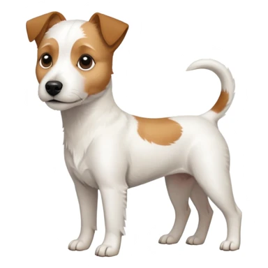 a full body slightly chubby white parson russell terrier looking dog the size of a kelpie with light brown long ears and a light brown patch on one eye and a large snout sticker