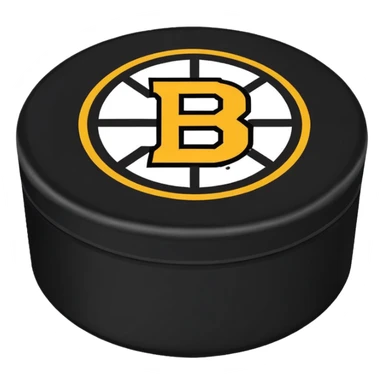 Boston bruins hockey sticker