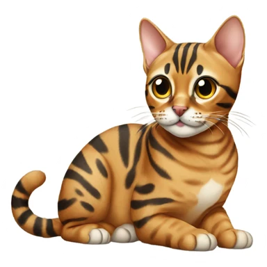 bengal cat sitting  sticker