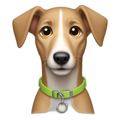 tan lurcher puppy dog with collar sticker