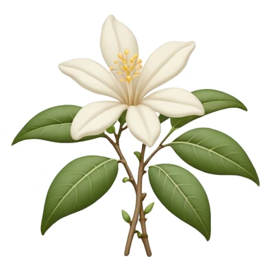 wilted indian jasmine without leaves in emoji format sticker
