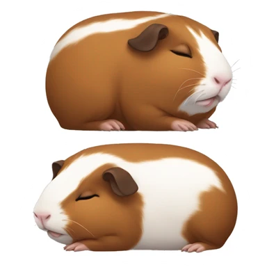 Brown Guinea pig sleeping sticker
