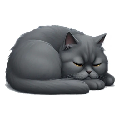 Dark grey persian cat sleeping  sticker