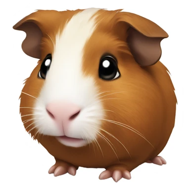 Brown Guinea pigs  sticker