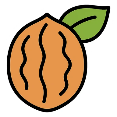 a walnut with a leaf, simple and modern icon sticker
