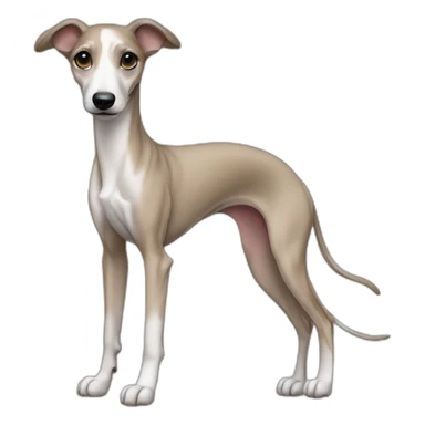 whippet puppy full body sticker