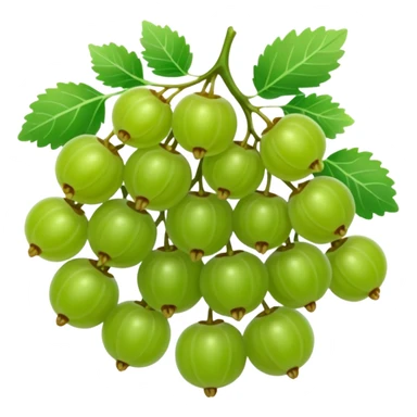 gooseberries in bunch  sticker