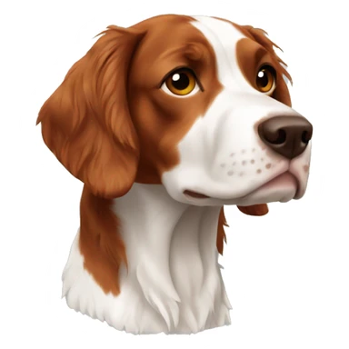 Brittany spaniel full body sticker