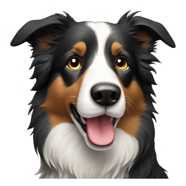 Rough coat border collie sticker