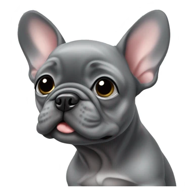 baby grey frenchie  sticker