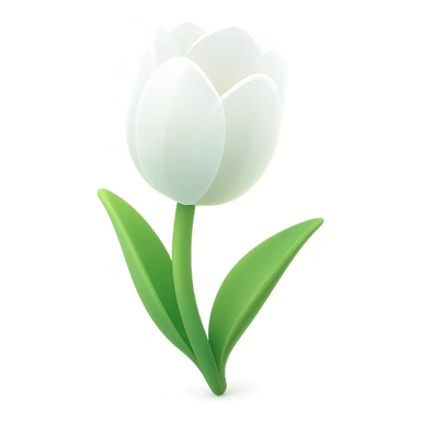 a white tulip with a green stem, soft shadows, modern look sticker