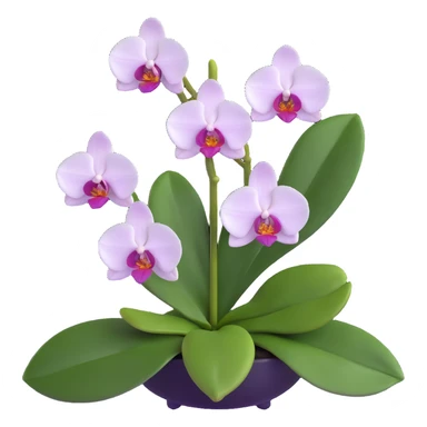 Realistic phalaenopsis orchid with delicate blooms and prominent large green leaves clearly visible sticker