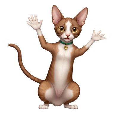 brown colored cornish rex cat waving sticker