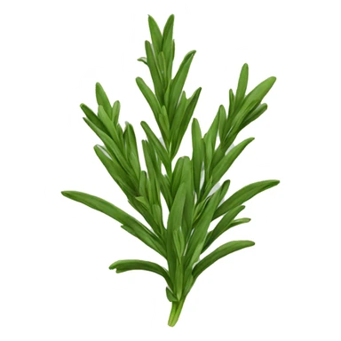 Tarragon  sticker
