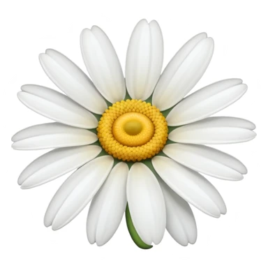 A white daisy  sticker