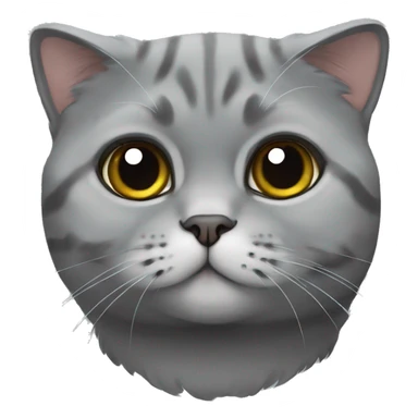 Cat Scottish fold gray sticker
