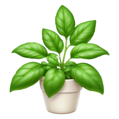 Cinematic Realistic Basil Emoji, Lush and fragrant, with vibrant green leaves that release a fresh, herbal aroma. The soft, glossy leaves are delicately arranged along slender stems, exuding vitality and flavor. Soft glowing outline, capturing the essence of freshness, growth, and aromatic delight in a blossoming basil plant! sticker