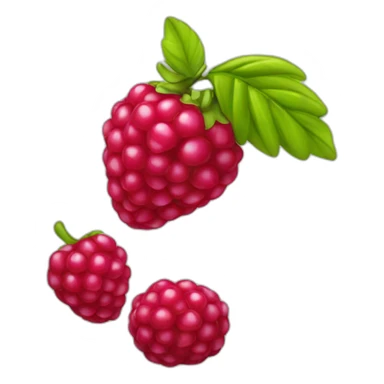 Fruit Framboise sticker