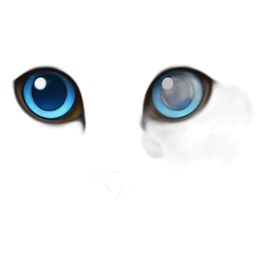 ragdoll cat with blue eyes sticker