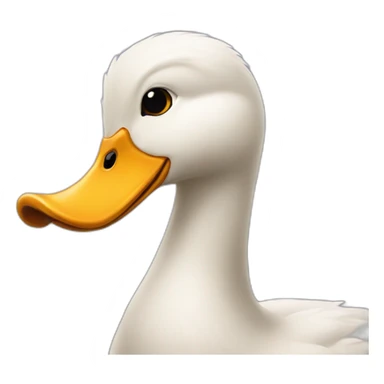 Canard sticker