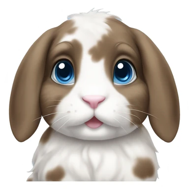 blue eyed brown and white spotted holland lop bunny sticker