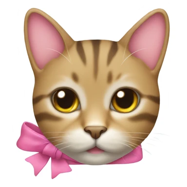 tabby cat with a pink bow sticker