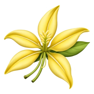 Ylang-ylang sticker