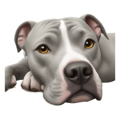 Gray Pitbull laying  sticker