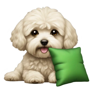 maltipoo dog with green pillow  sticker