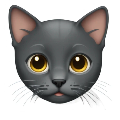 Dark gray short haired cat sticker