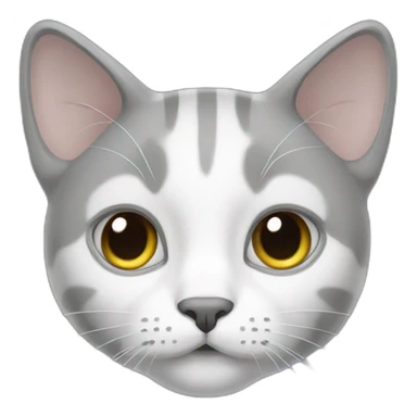 Cat grey with white ligne face sticker